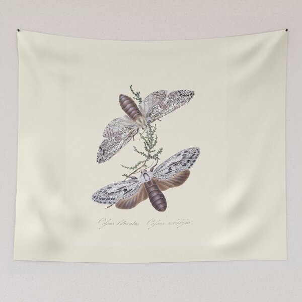 Item preview, Scientific Vintage Illustration, Α pair of butterflies  designed and sold by Lacasadellora.