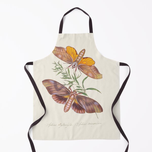 Item preview, Scientific Vintage Illustration, Butterflies designed and sold by Lacasadellora.