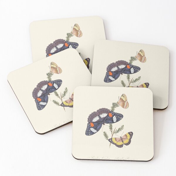 Item preview, Scientific Vintage Illustration, Pair of Butterflies designed and sold by Lacasadellora.