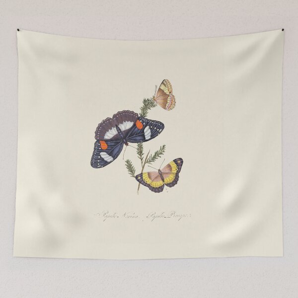 Item preview, Scientific Vintage Illustration, Pair of Butterflies designed and sold by Lacasadellora.