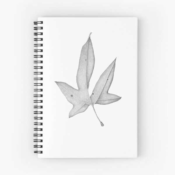 Item preview, Hand-Drawn Sycamore Leaf designed and sold by Ann Brantingham -- Nature Art.