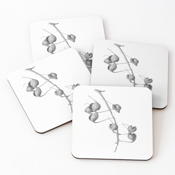 Item preview, Hand Drawn Seedpods designed and sold by Ann Brantingham -- Nature Art.
