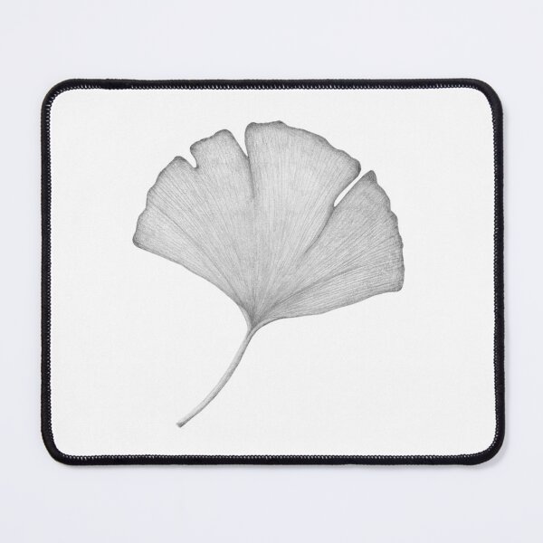 Item preview, Hoja de ginkgo biloba dibujada a mano designed and sold by Ann Brantingham -- Nature Art.