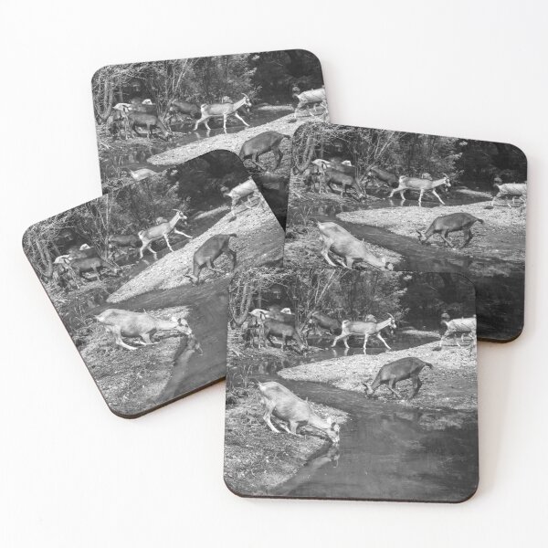 Item preview, Some goats drinking water in the river designed and sold by felipequeiroz.