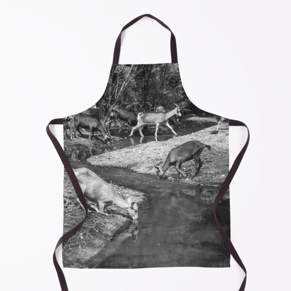Item preview, Some goats drinking water in the river designed and sold by felipequeiroz.