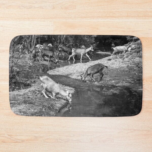 Item preview, Some goats drinking water in the river designed and sold by felipequeiroz.