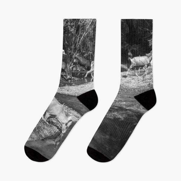 Item preview, Some goats drinking water in the river designed and sold by felipequeiroz.