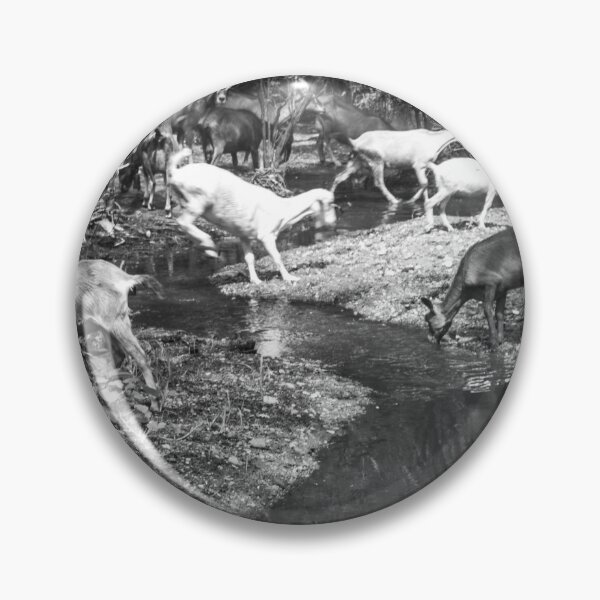 Item preview, Some goats drinking water in the river part 2 designed and sold by felipequeiroz.