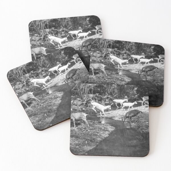 Item preview, Some goats drinking water in the river part 2 designed and sold by felipequeiroz.