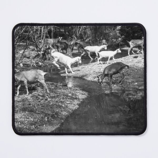 Item preview, Some goats drinking water in the river part 2 designed and sold by felipequeiroz.