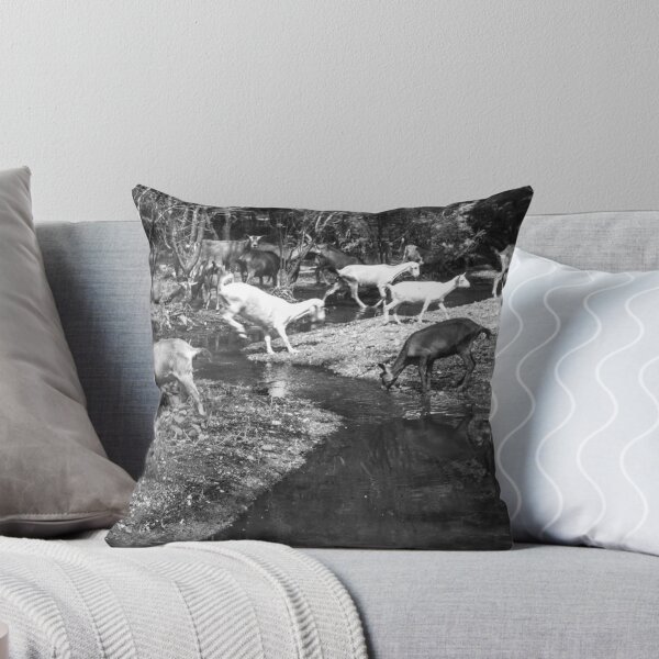 Item preview, Some goats drinking water in the river part 2 designed and sold by felipequeiroz.