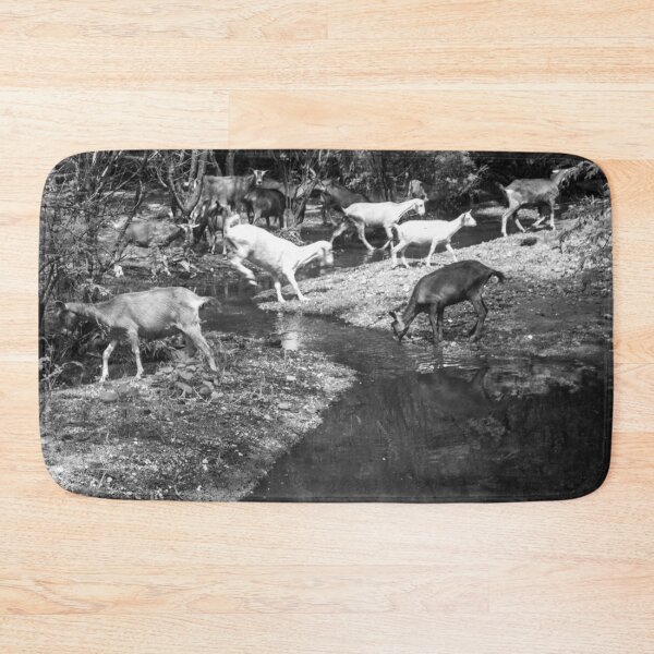 Item preview, Some goats drinking water in the river part 2 designed and sold by felipequeiroz.