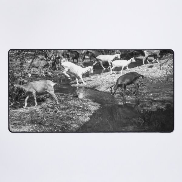 Item preview, Some goats drinking water in the river part 2 designed and sold by felipequeiroz.