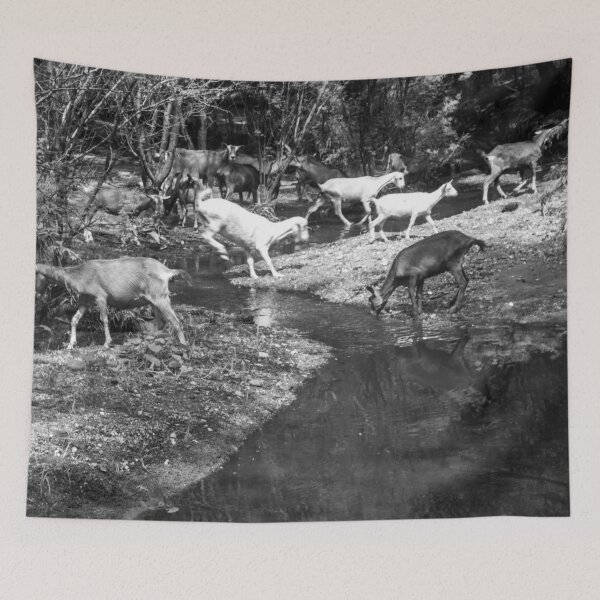 Item preview, Some goats drinking water in the river part 2 designed and sold by felipequeiroz.