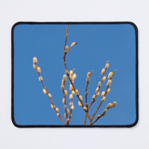 Item preview, Bush on blue. Willow cat designed and sold by Jouko Lehto Photography.