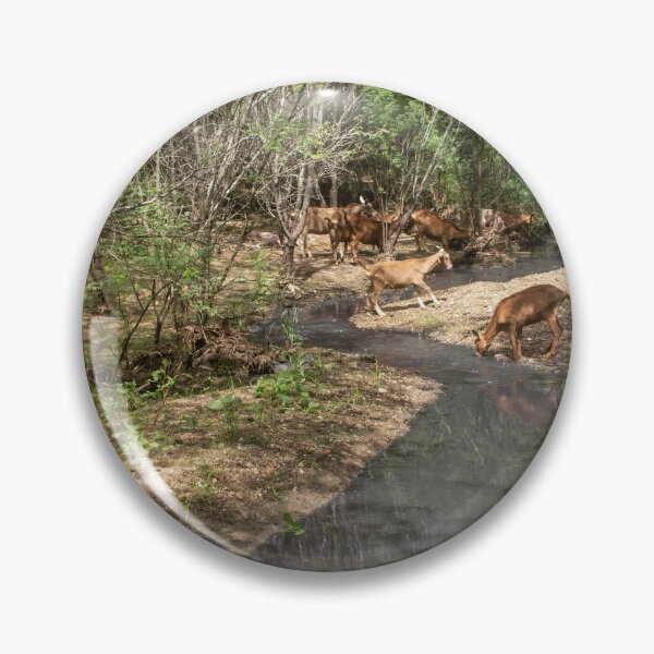 Item preview, Some goats drinking water in the river part 3 designed and sold by felipequeiroz.
