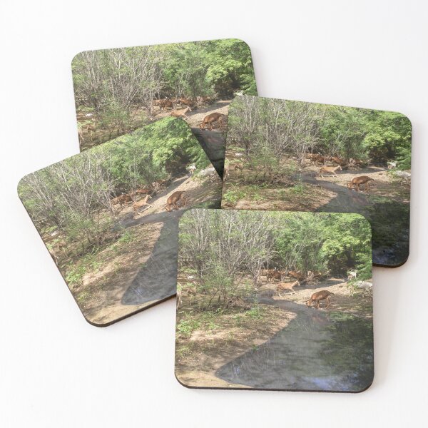 Item preview, Some goats drinking water in the river part 3 designed and sold by felipequeiroz.