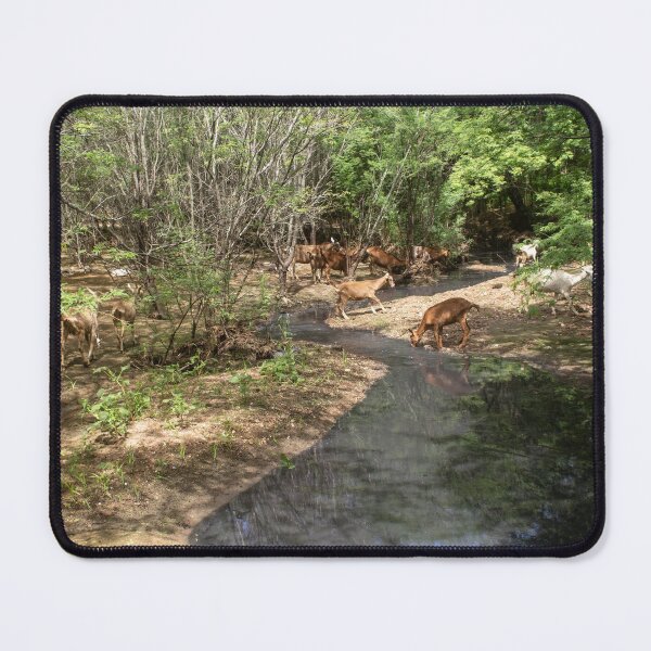 Item preview, Some goats drinking water in the river part 3 designed and sold by felipequeiroz.
