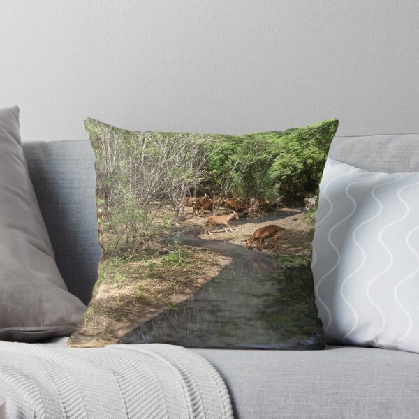 Item preview, Some goats drinking water in the river part 3 designed and sold by felipequeiroz.