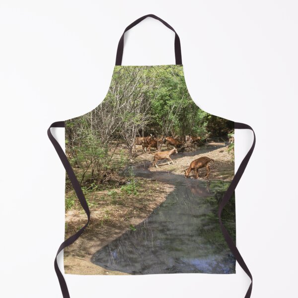 Item preview, Some goats drinking water in the river part 3 designed and sold by felipequeiroz.