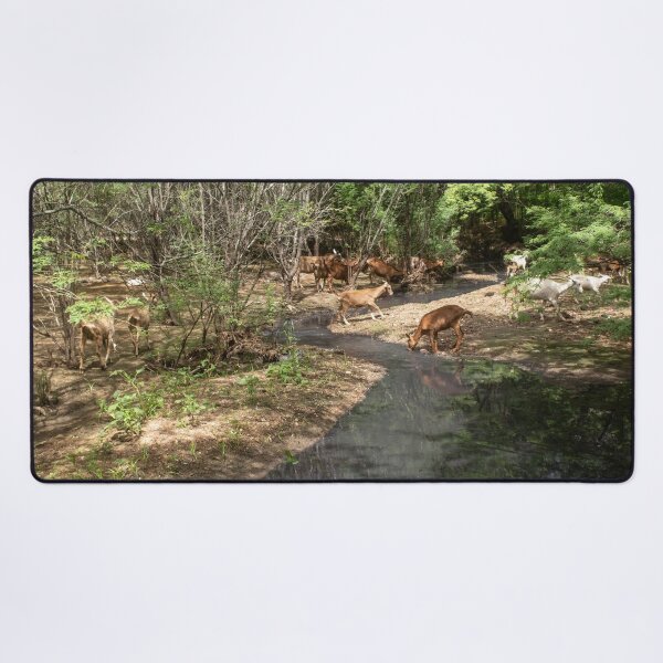 Item preview, Some goats drinking water in the river part 3 designed and sold by felipequeiroz.