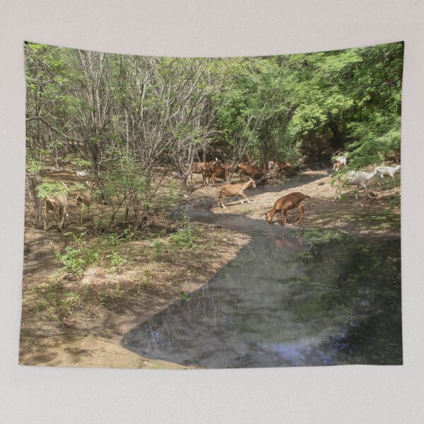 Item preview, Some goats drinking water in the river part 3 designed and sold by felipequeiroz.