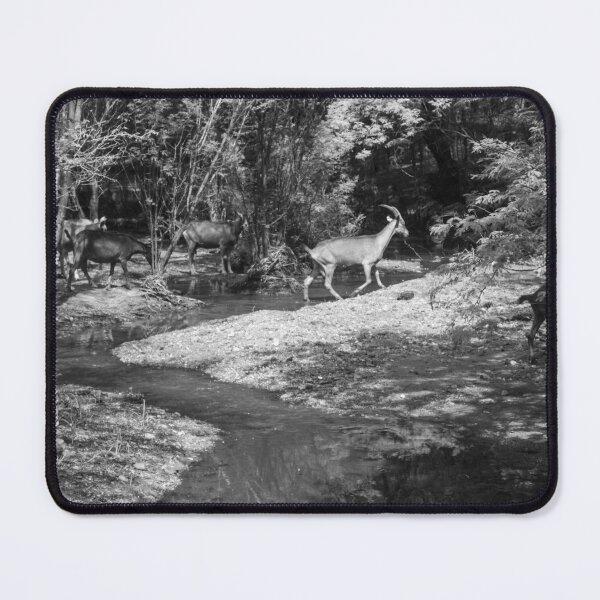 Item preview, Some goats drinking water in the river part 4 designed and sold by felipequeiroz.