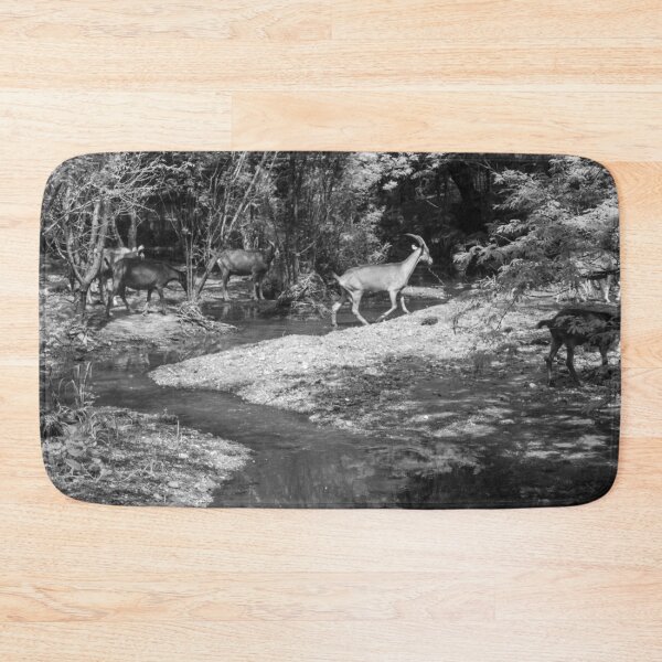 Item preview, Some goats drinking water in the river part 4 designed and sold by felipequeiroz.