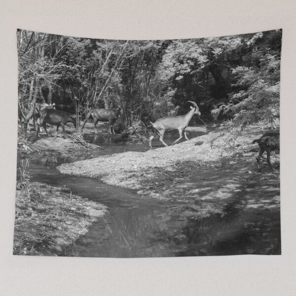 Item preview, Some goats drinking water in the river part 4 designed and sold by felipequeiroz.