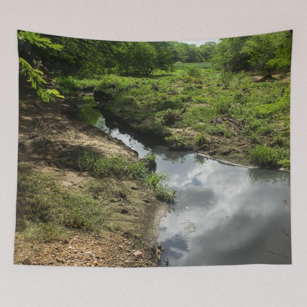 Item preview, an isolated stream designed and sold by felipequeiroz.