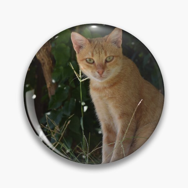 Item preview, Greek cat on a wall designed and sold by CatherineMoore4.
