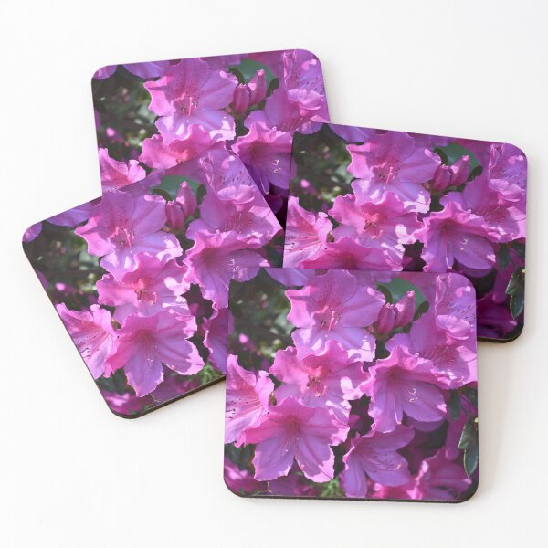 Item preview, Pink Azaleas Spring Garden Photography designed and sold by CaytlinEPhotos.