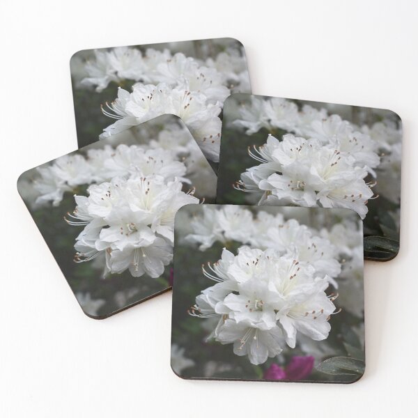 Item preview, White Azaleas Spring Garden Photography designed and sold by CaytlinEPhotos.