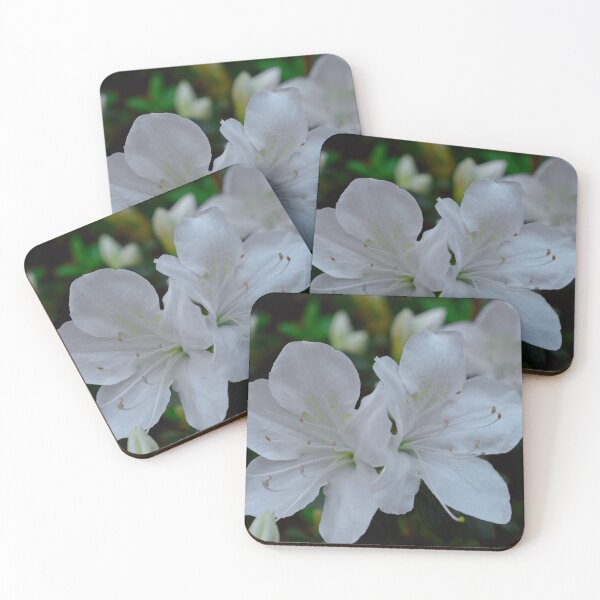Item preview, White Azaleas Spring Garden Photography designed and sold by CaytlinEPhotos.