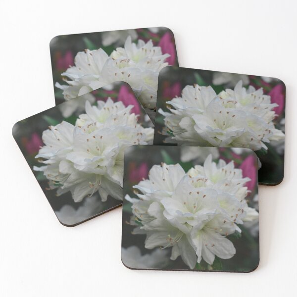 Item preview, White Azaleas Spring Garden Photography designed and sold by CaytlinEPhotos.