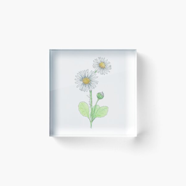 Item preview, Aster April Birthflower designed and sold by iriseriks.