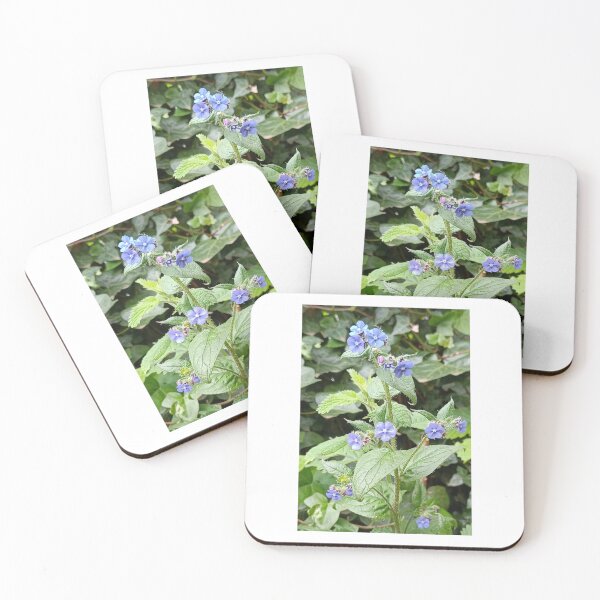 Item preview, Alkanet  designed and sold by Oubaitory.