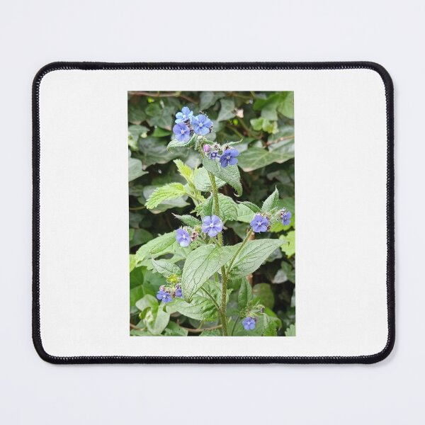Item preview, Alkanet designed and sold by Oubaitory.