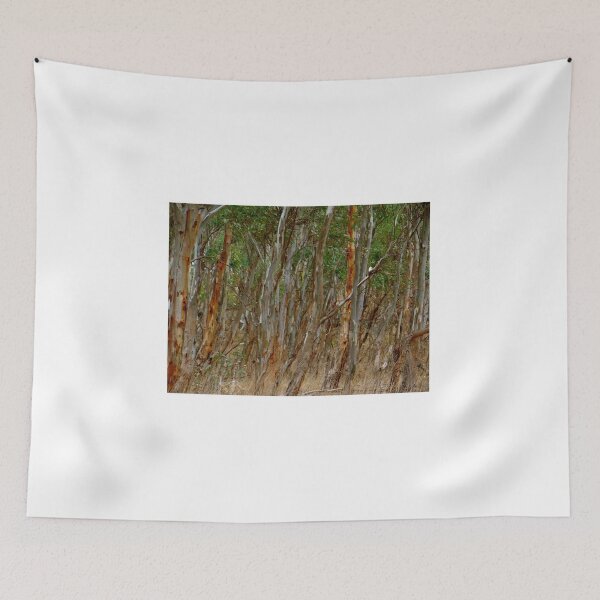 Item preview, Australian Tree Trunks in The Forest designed and sold by exploramum.