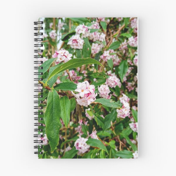 Item preview, Blossom designed and sold by Oubaitory.