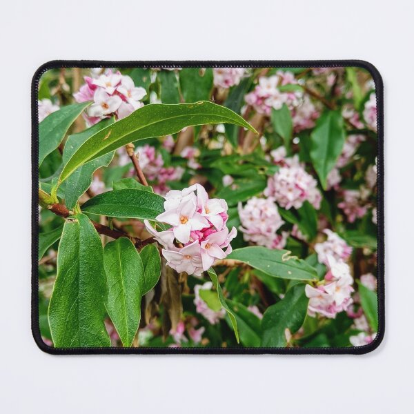 Item preview, Blossom designed and sold by Oubaitory.