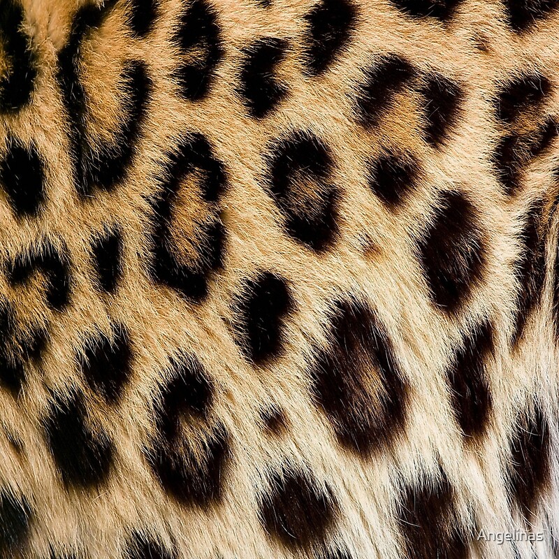  Leopard Print Animal Skin Fur Pattern By Angelinas Redbubble