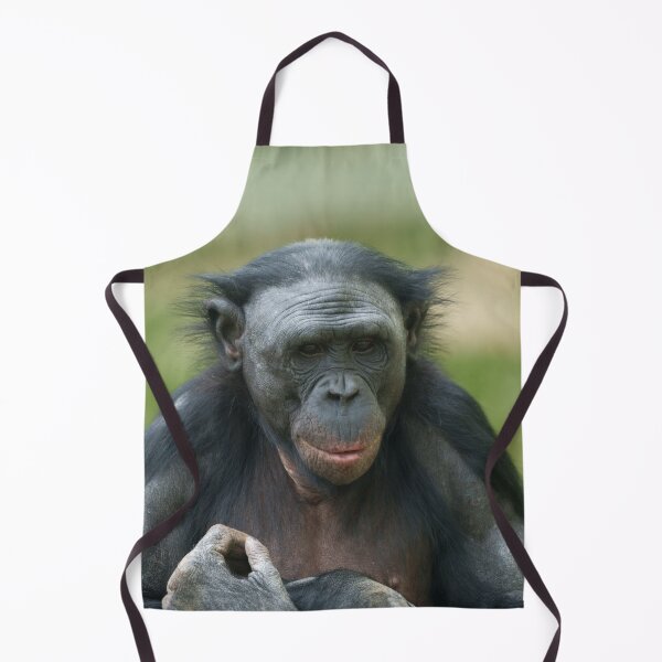 Item preview, The Bonobo's Gaze designed and sold by rawshutterbug.