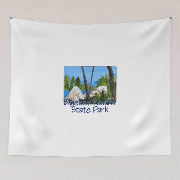 Item preview, Bigelow Hollow State Park, Connecticut designed and sold by MMc Buck.