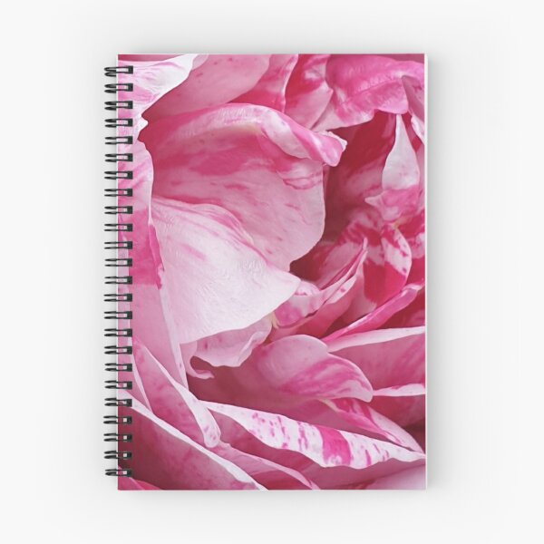 Item preview, Pink Rose designed and sold by amanda150771.
