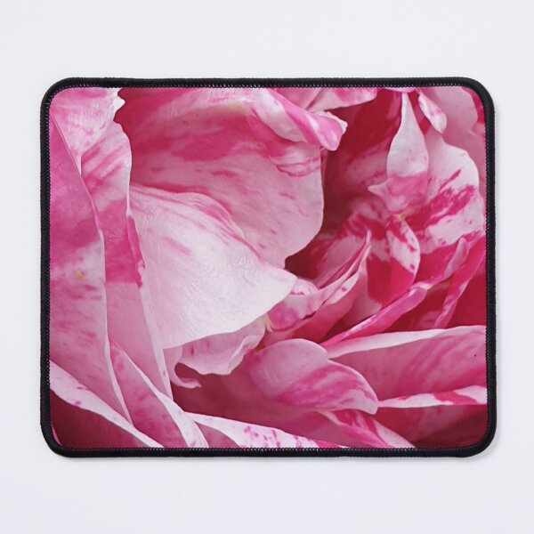 Item preview, Pink Rose designed and sold by amanda150771.