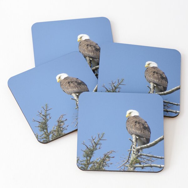 Item preview, EAGLE WITH ATTITUDE designed and sold by Elaine Bawden.