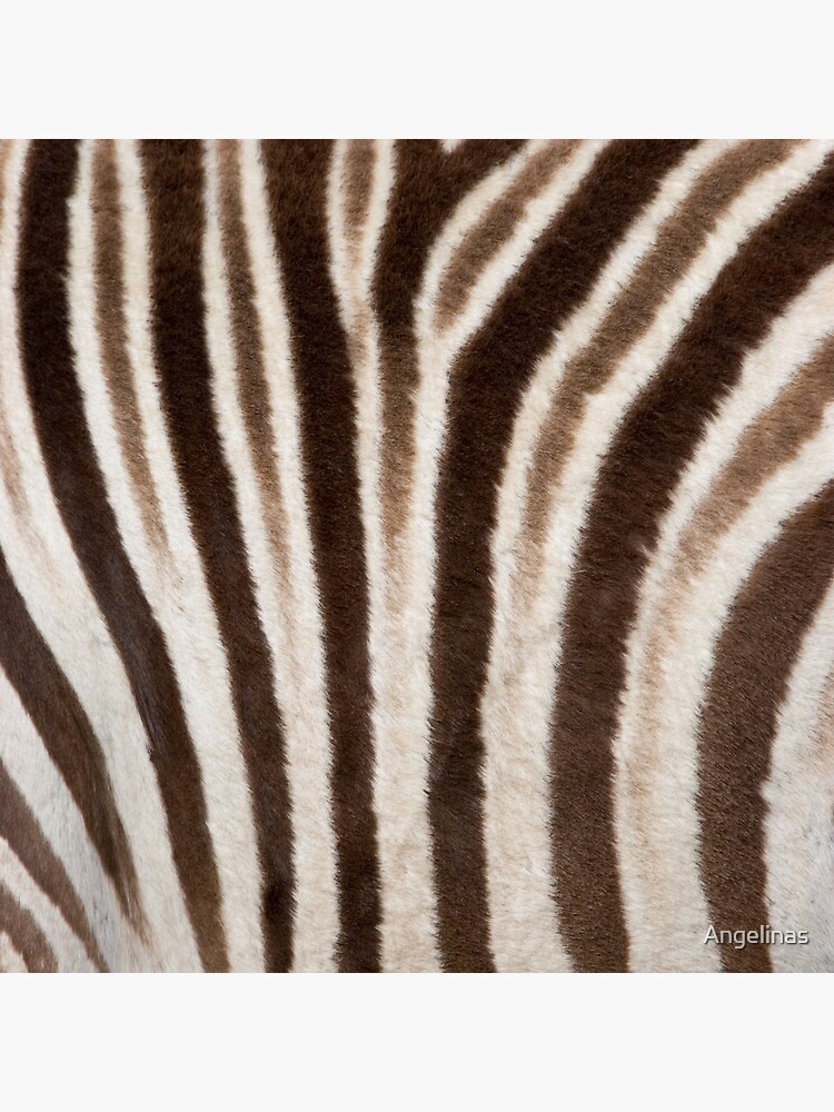 Zebra Print Animal Skin Fur Pattern Canvas Print for Sale by