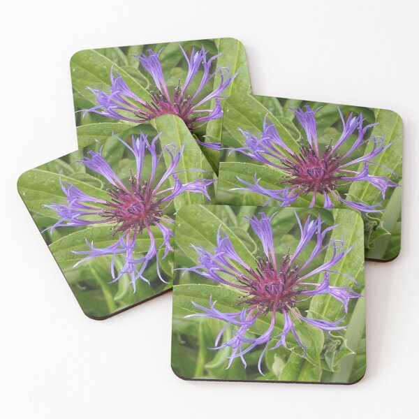 Item preview, Cornflower  designed and sold by amanda150771.