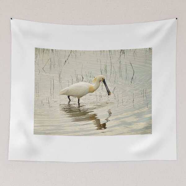 Item preview, Spoonbill designed and sold by Vanja Rosenthal.